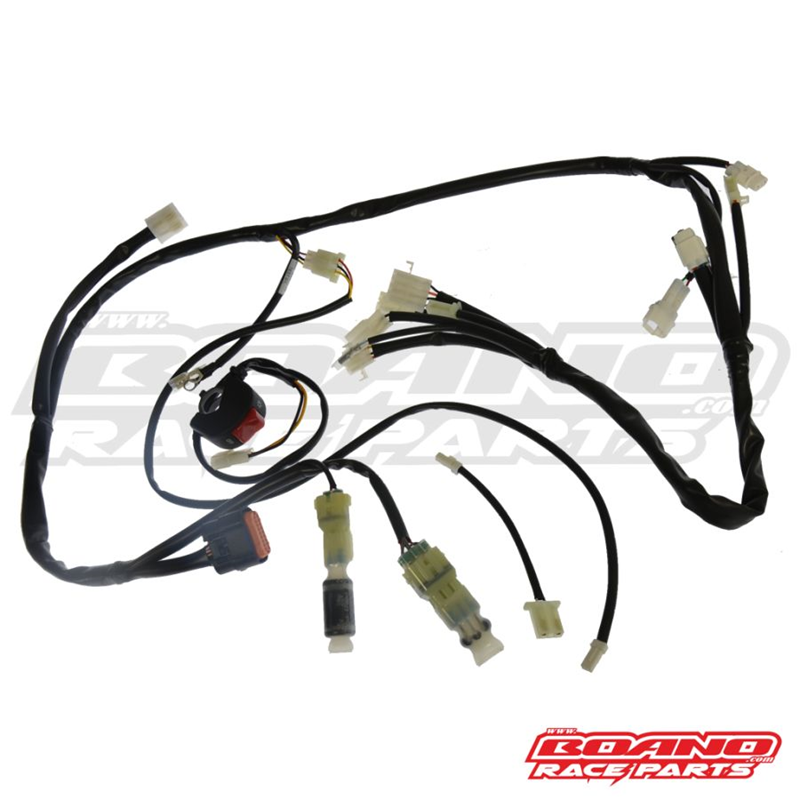 BETA OEM/BOANO RACE HARNESS IESCA24-R