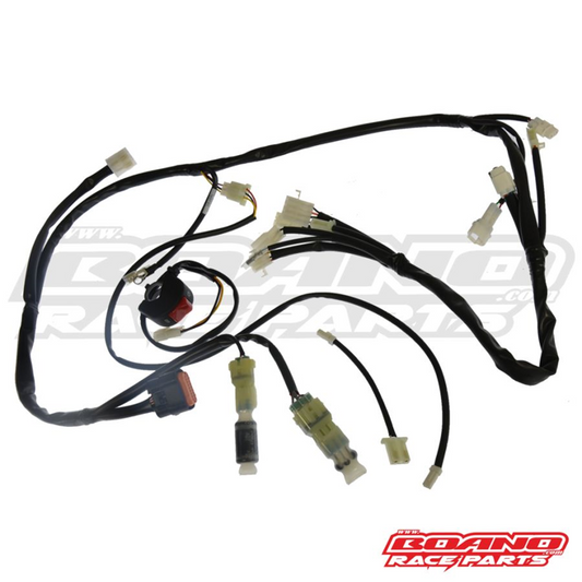 BETA OEM/BOANO RACE HARNESS IESCA24-R