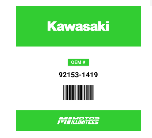 OEM KAWASAKI BOLT OIL L=23