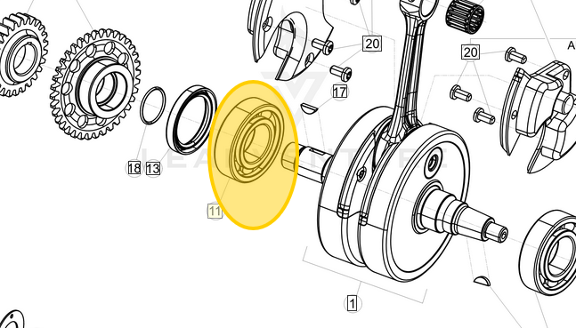 BETA OEM RIGHT HAND MAIN CRANK BEARING PART # C06.01.035.00.00